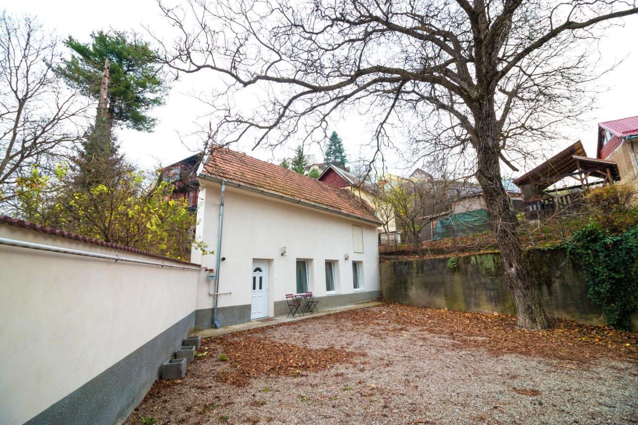 Crisan Residence - Vila Crisan Brașov Exterior foto